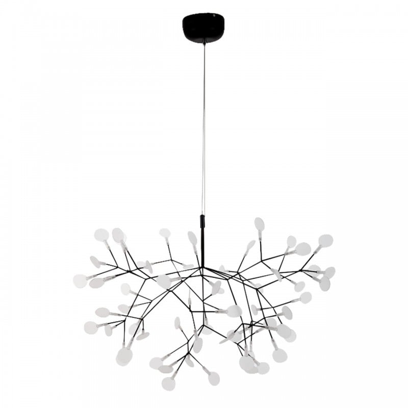Lustre Heracleum