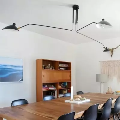 Rotating Duckbill Swing Arm... 2