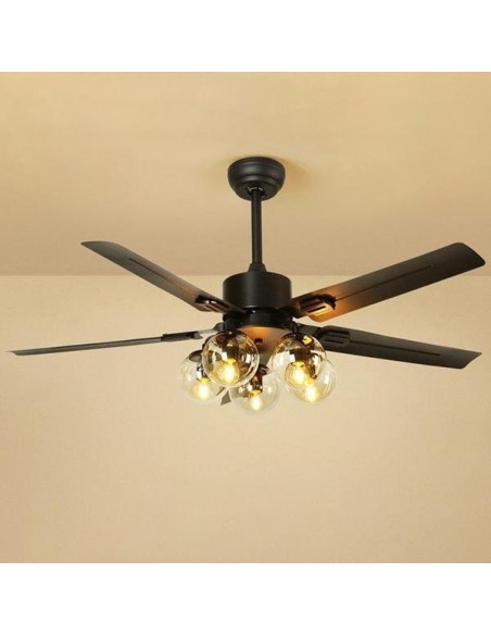 Ceiling fan light