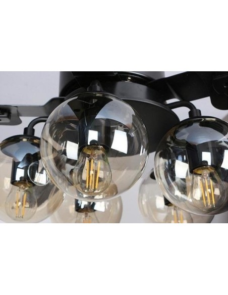 Ceiling fan light