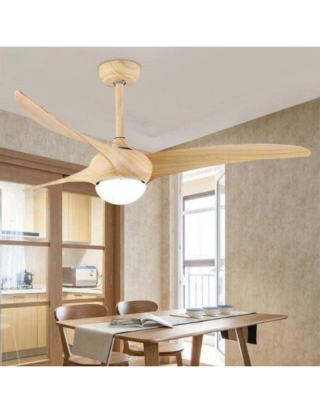 Lumière de ventilateur de plafond d'intérieur