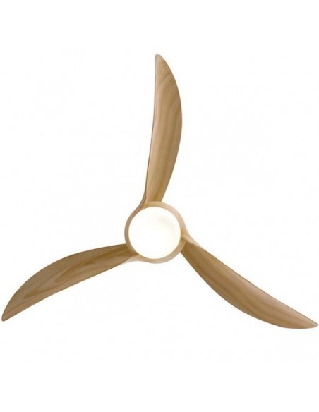 Lumière de ventilateur de plafond d'intérieur