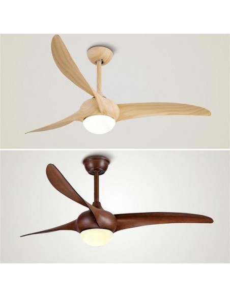 Lumière de ventilateur de plafond d'intérieur