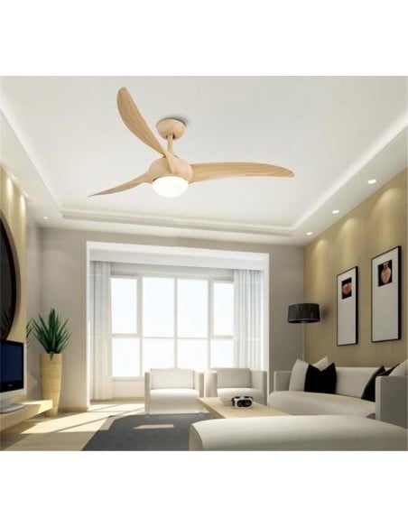 Lumière de ventilateur de plafond d'intérieur