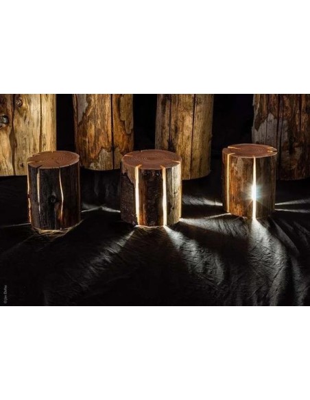 Cracked Stump Lamp