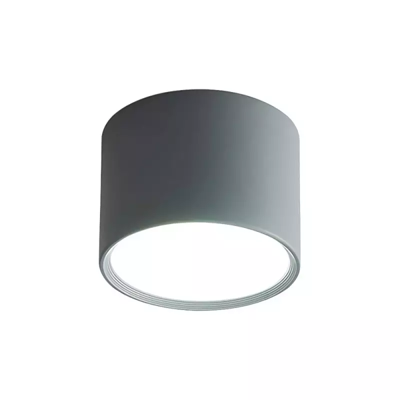 LED Ceiling Light