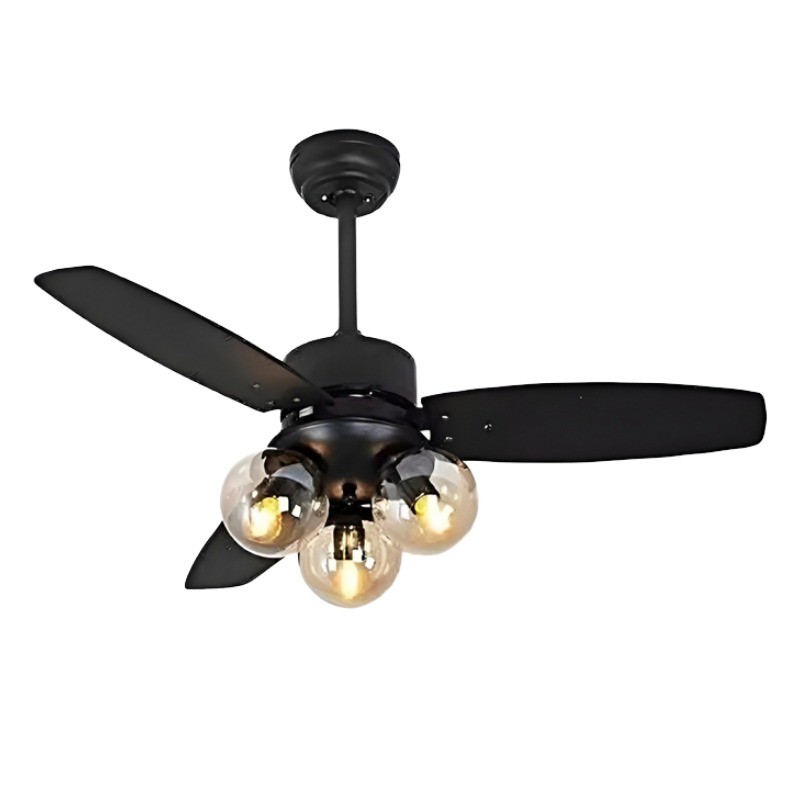 Ceiling fan light