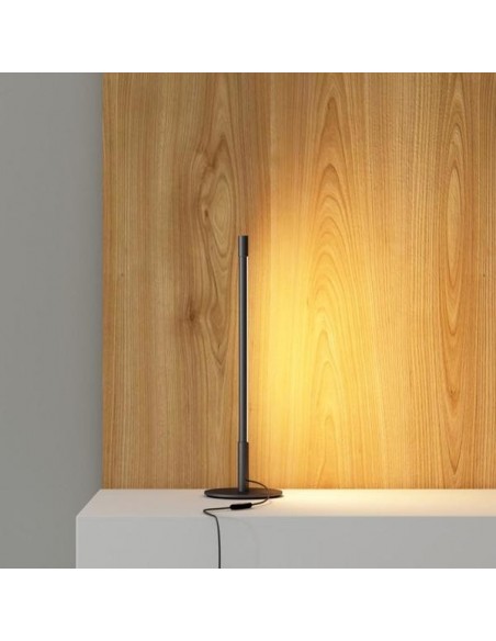 Linear LED Floor/Table lamp