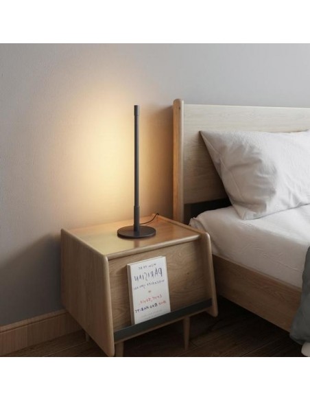 Linear LED Floor/Table lamp