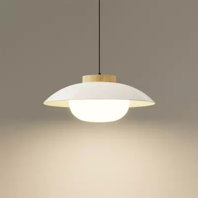 Moderne Pendelleuchte aus...