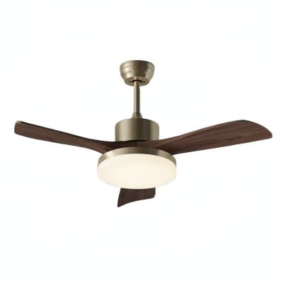Ventilador De Techo Wabi...