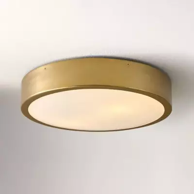 Crelina Minimalist Flush...