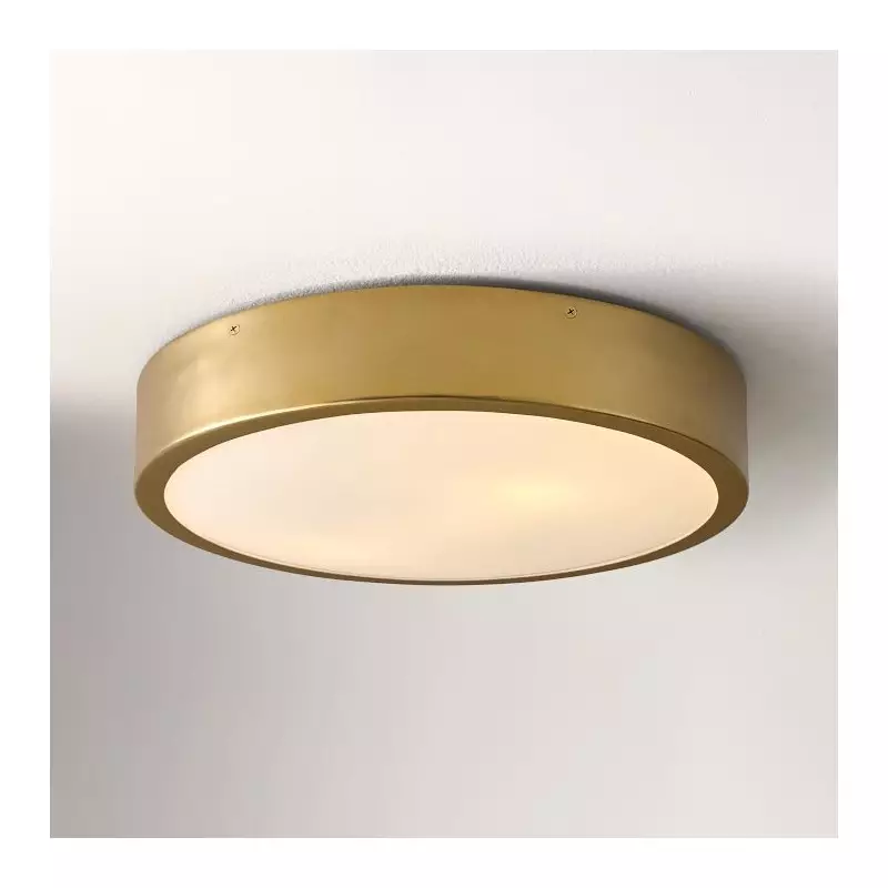Crelina Minimalist Flush Mount...