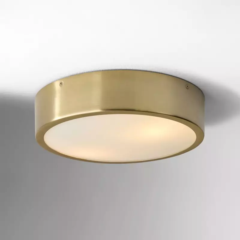 Crelina Minimalist Flush Mount...