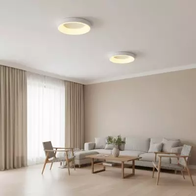 Lumiflexa Acrylic Ceiling... 2