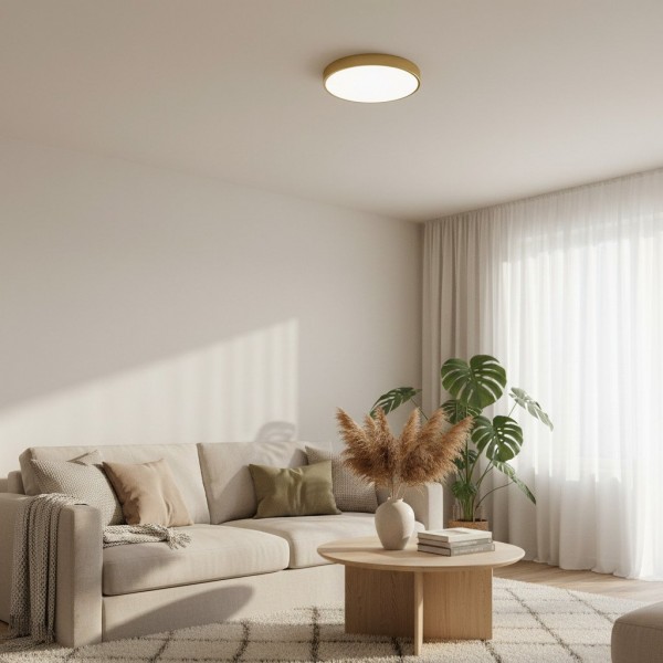 Rondi Minimalist Round LED Ceiling Light - Circular Iron Design for Living Room and Bedroom KL2119