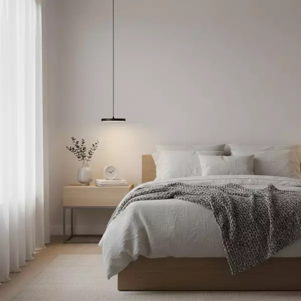 Feranox Pendant Light Disc Design Pendant - Modern Style for Dining Room KL2200