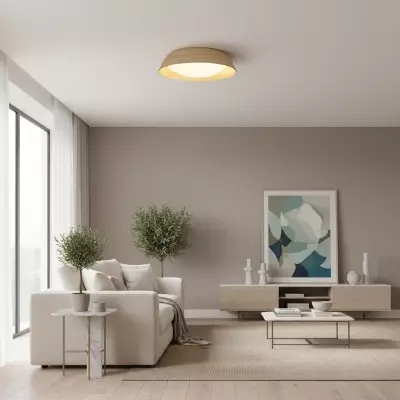 Plafonnier texturé en... 2