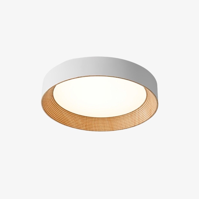 Cedronis Minimalist Ceiling Fixture -...