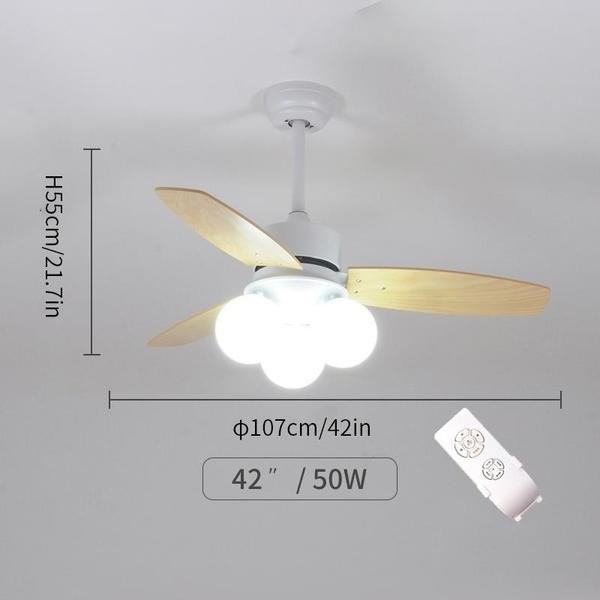 Ceiling fan light