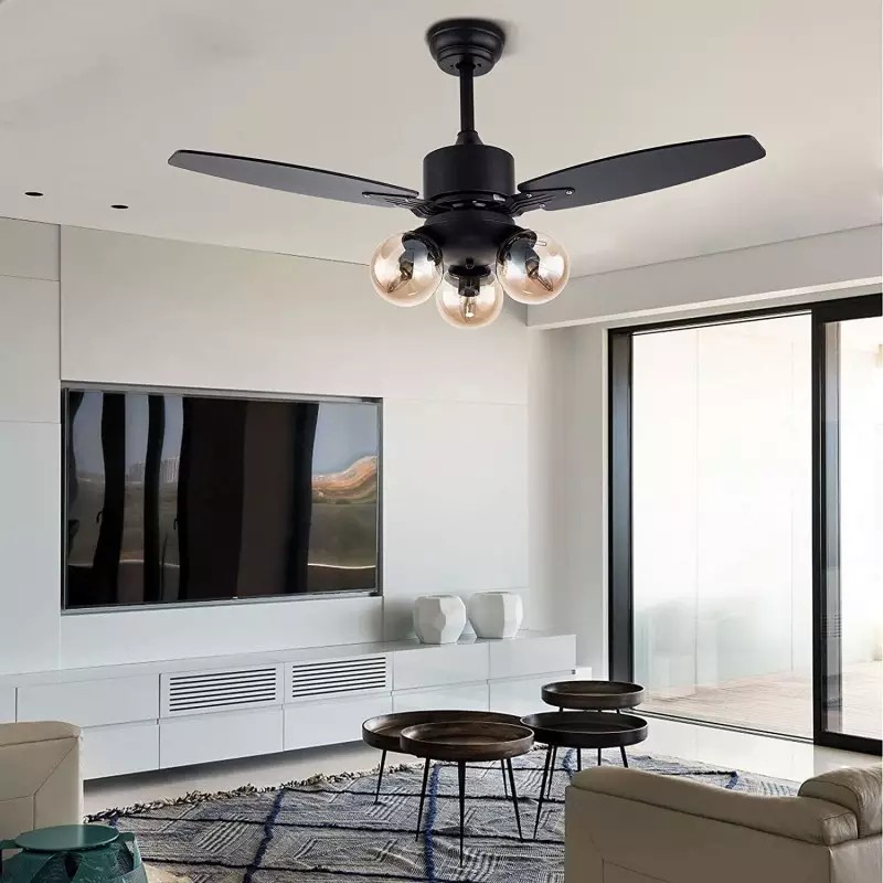 Ceiling fan light
