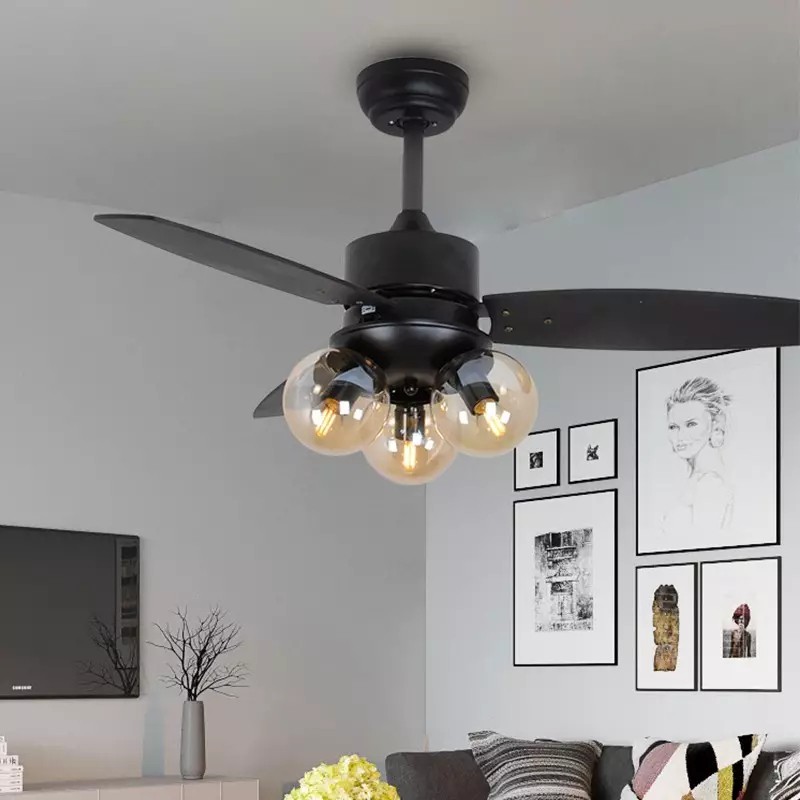 Ceiling fan light