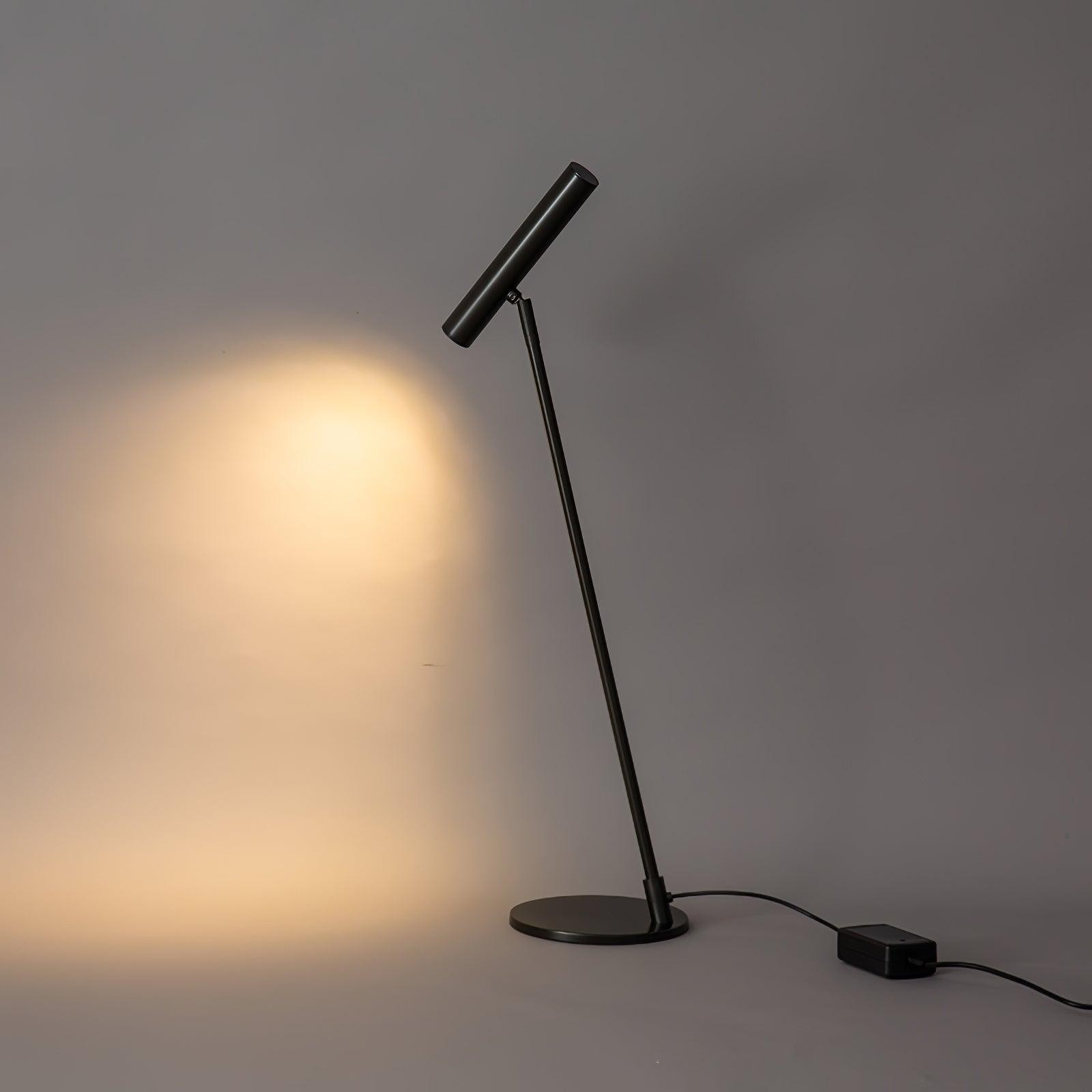 Modern Minimalist Brass Adjustable LED Floor Lamp KL697