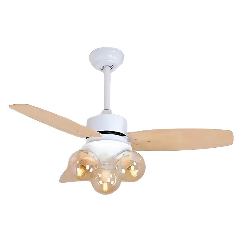 Ceiling fan light