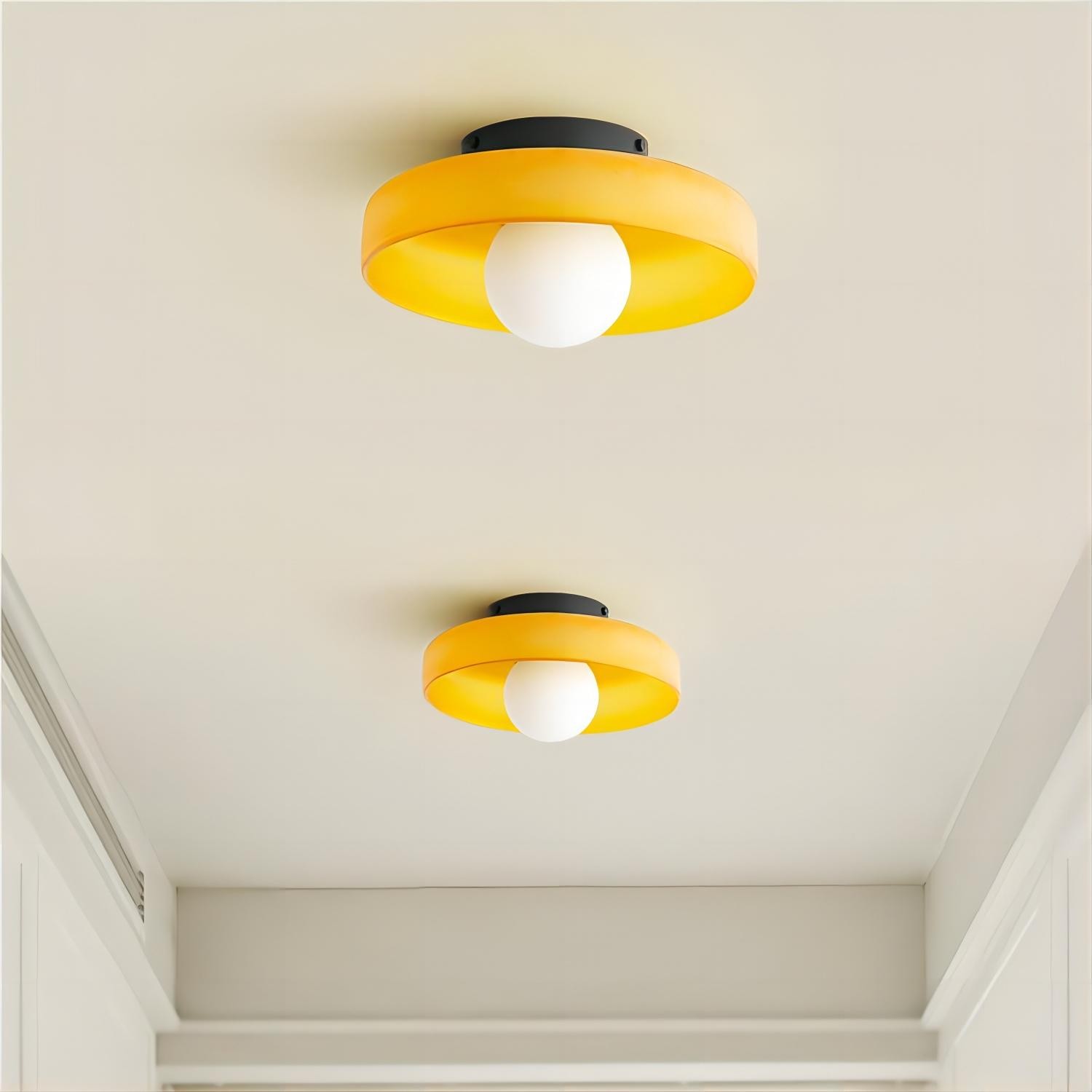 Morandi Disc Orb Wall Ceiling Lamp