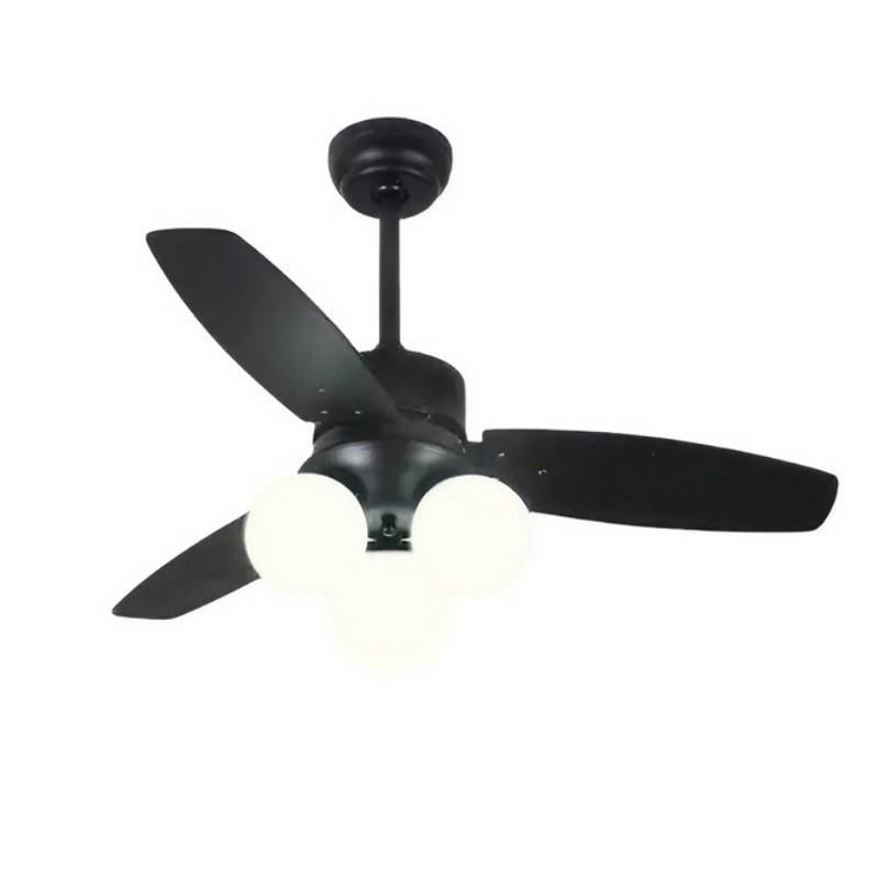 Ceiling fan light