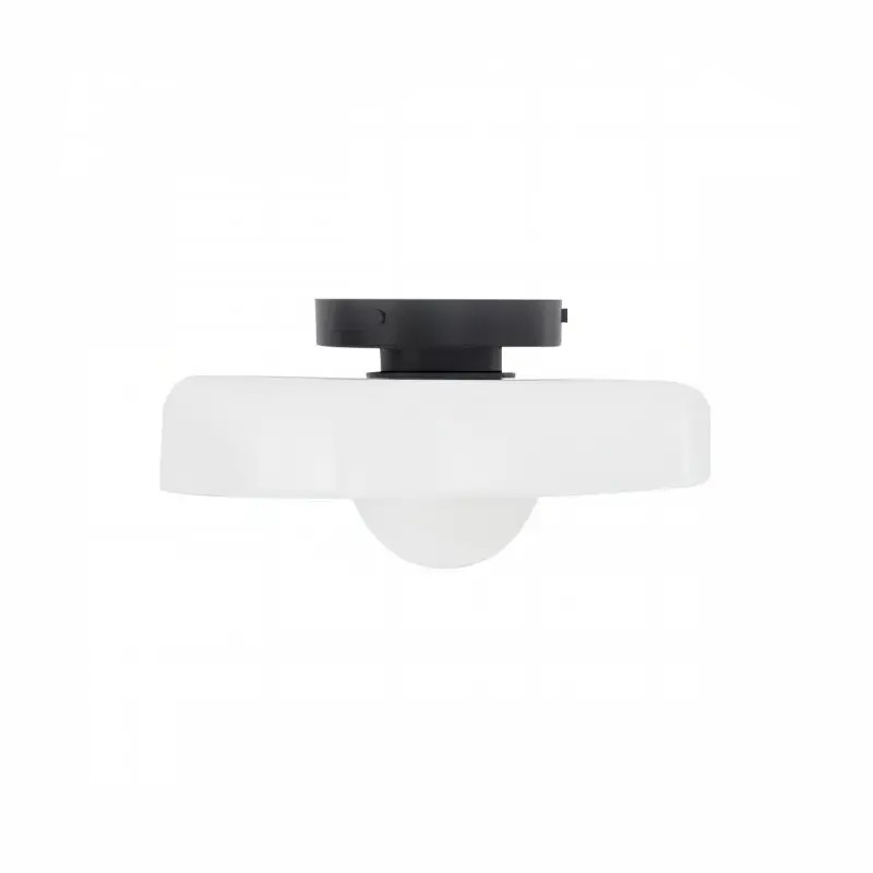 Morandi Disc Orb Wall Ceiling Lamp