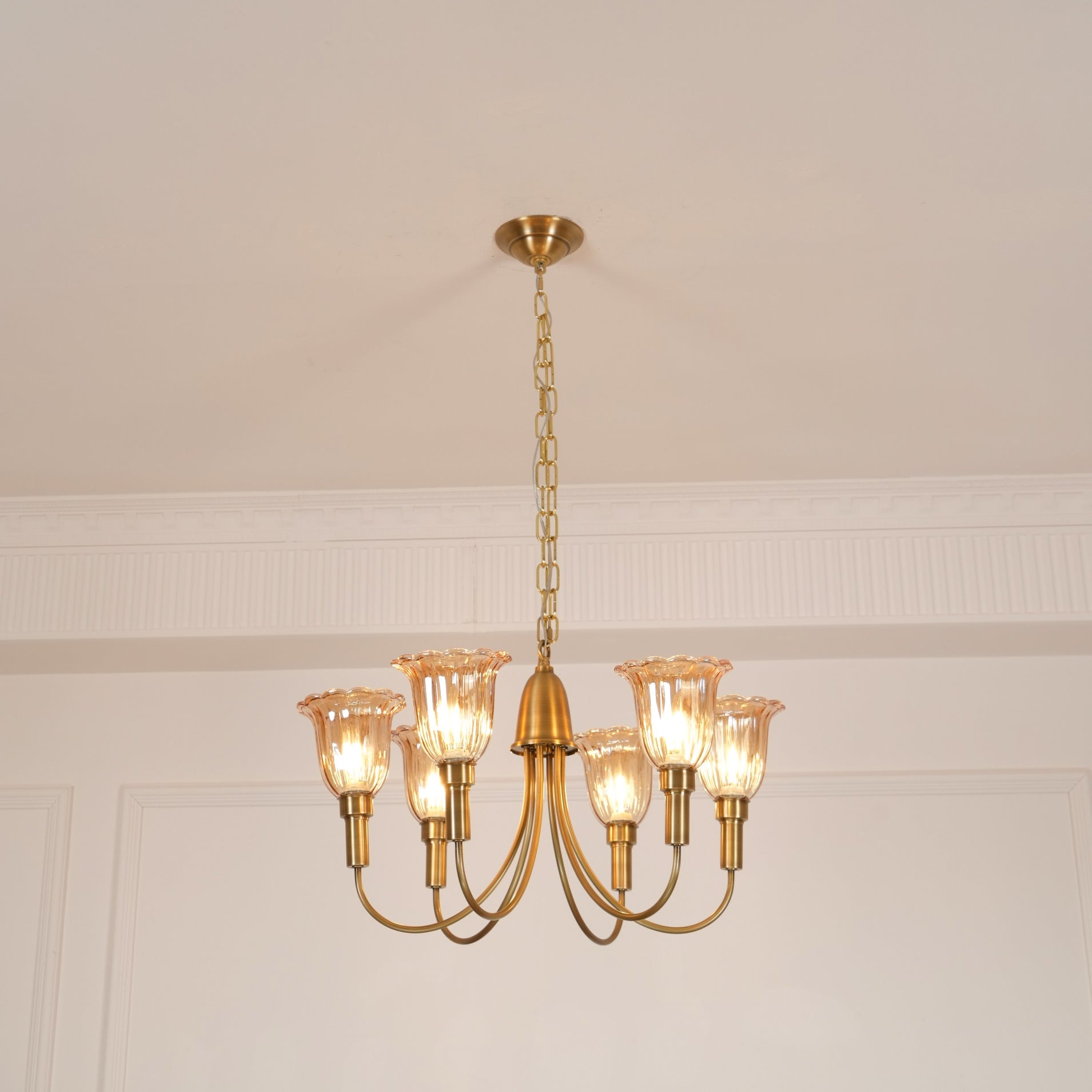Columbia Brass Chandelier D505