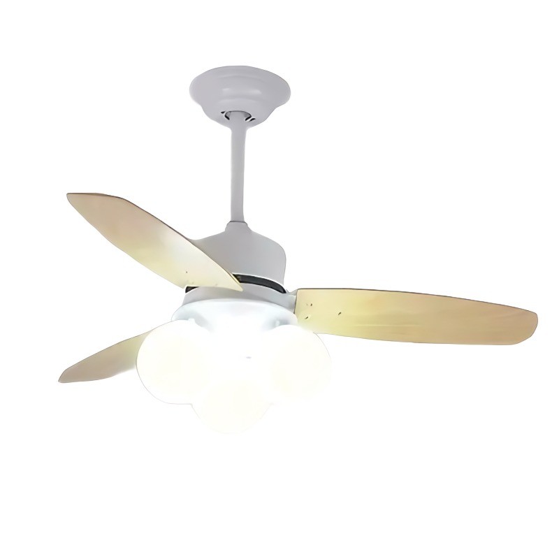 Ceiling fan light