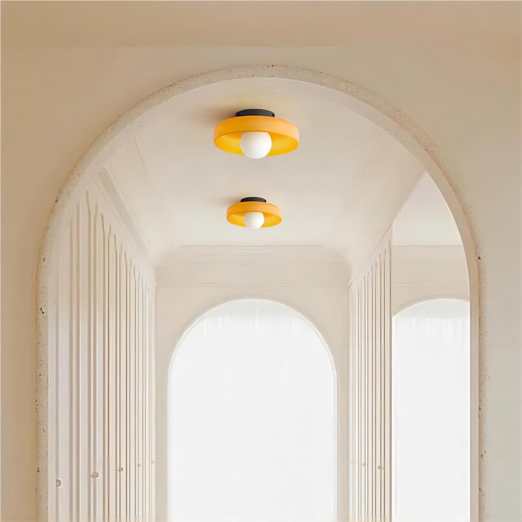 Morandi Disc Orb Wall Ceiling Lamp