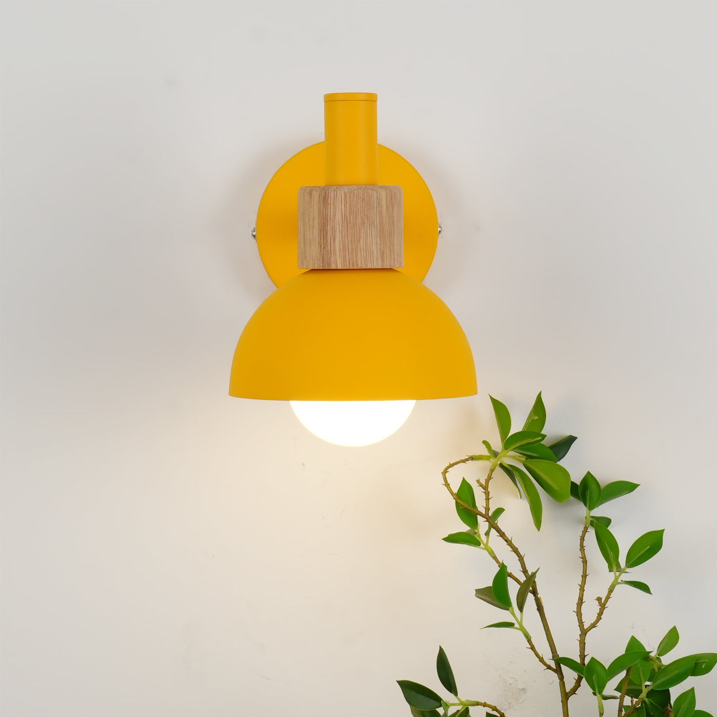 Fanta Wall Lamp KL1018