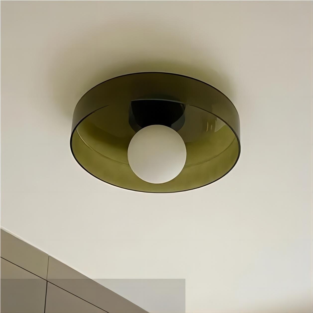 Morandi Disc Orb Wall Ceiling Lamp