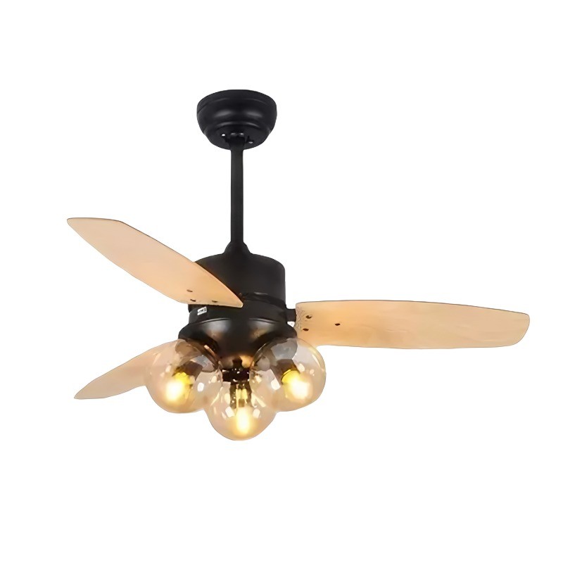Ceiling fan light