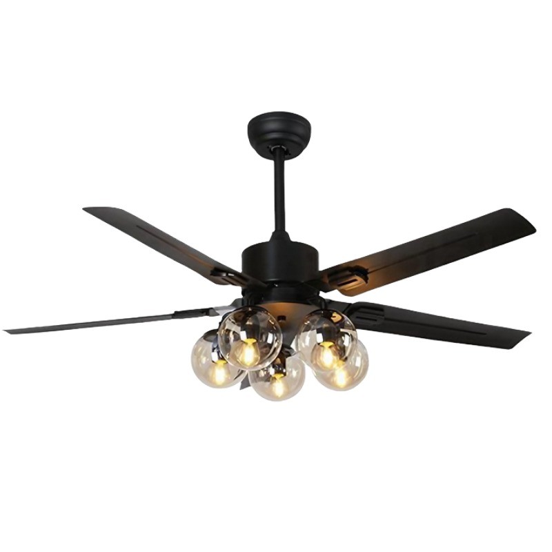 Ceiling fan light