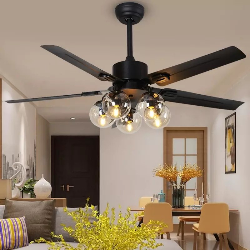 Ceiling fan light