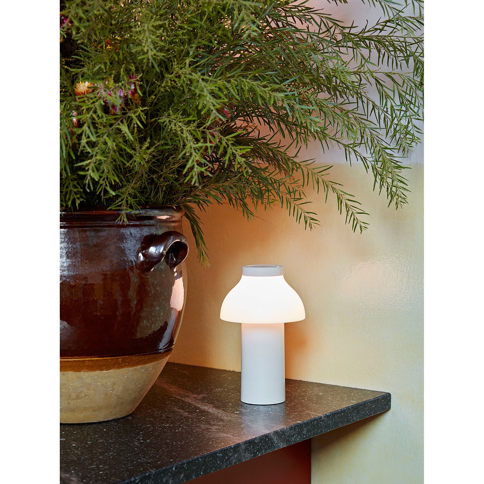 PC Portable Table Lamp (Built-in Battery) D646