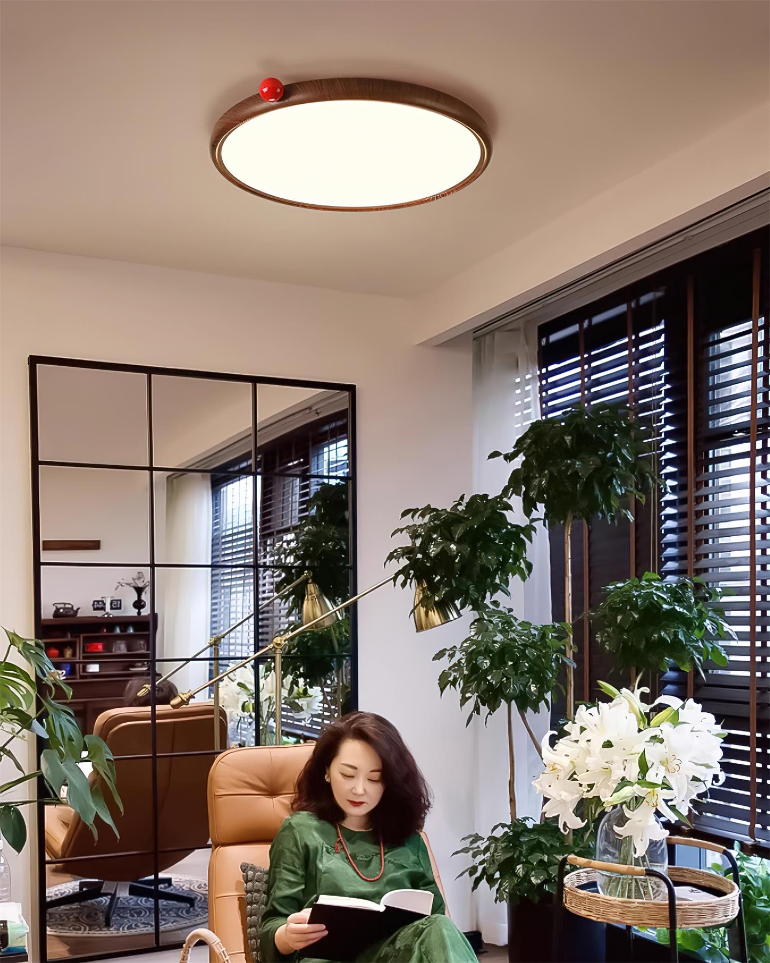Geos LED Ceiling Light D09