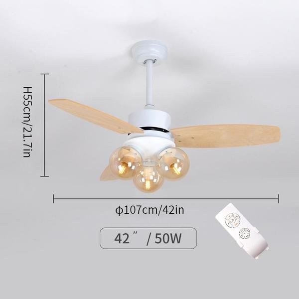 Ceiling fan light