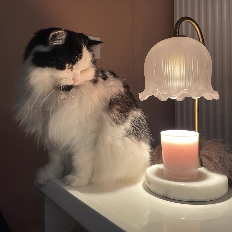 Romantic Melting Wax Table Lamp