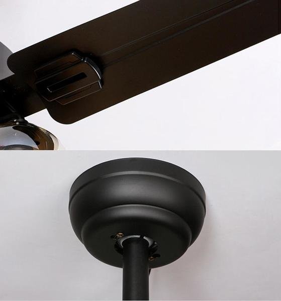 Ceiling fan light