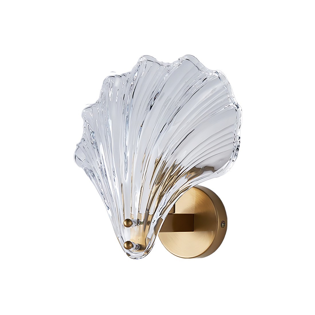 Shell Wall Light