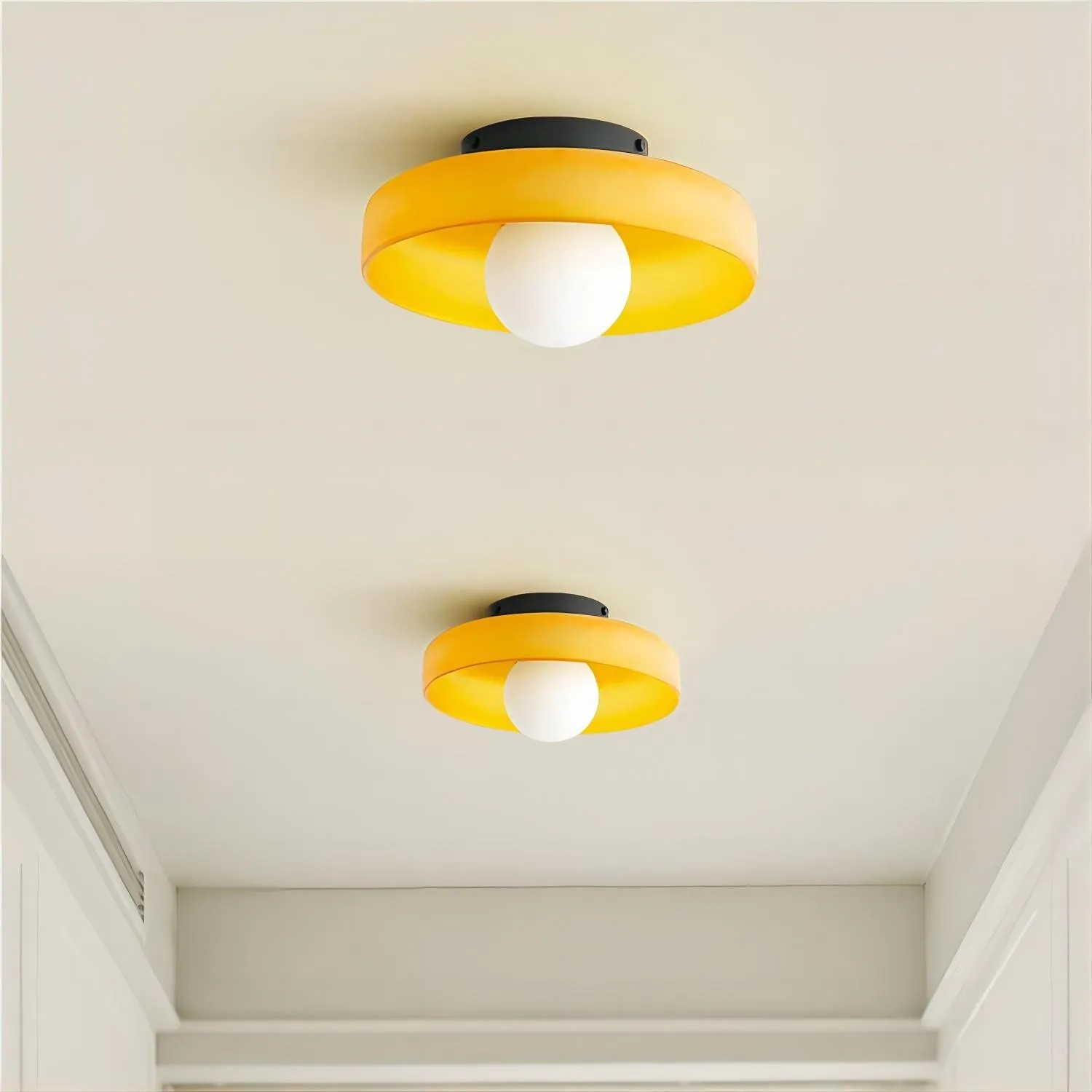 Morandi Disc Orb Wall Ceiling Lamp