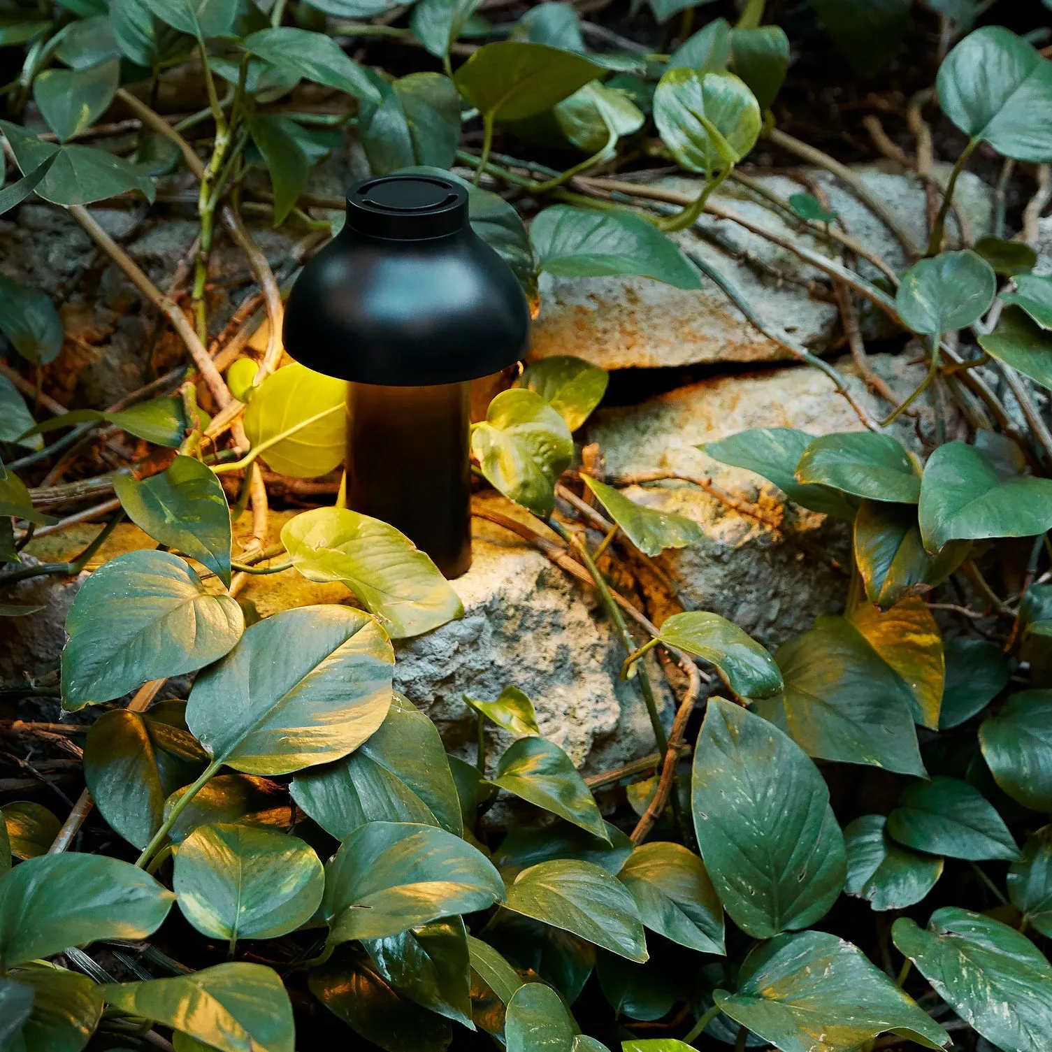 PC Portable Table Lamp (Built-in Battery) D646