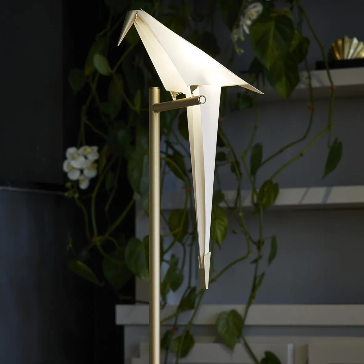 Perch Light Table lamp