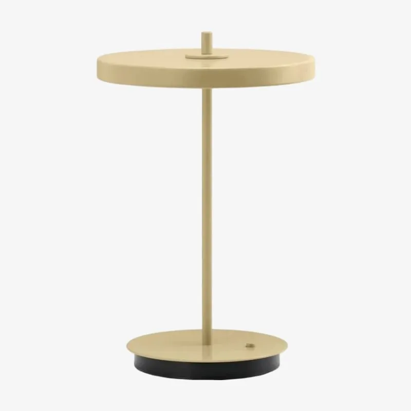 Astris Modern Minimalist Metal Table Lamp for Living Room and Office KL2142