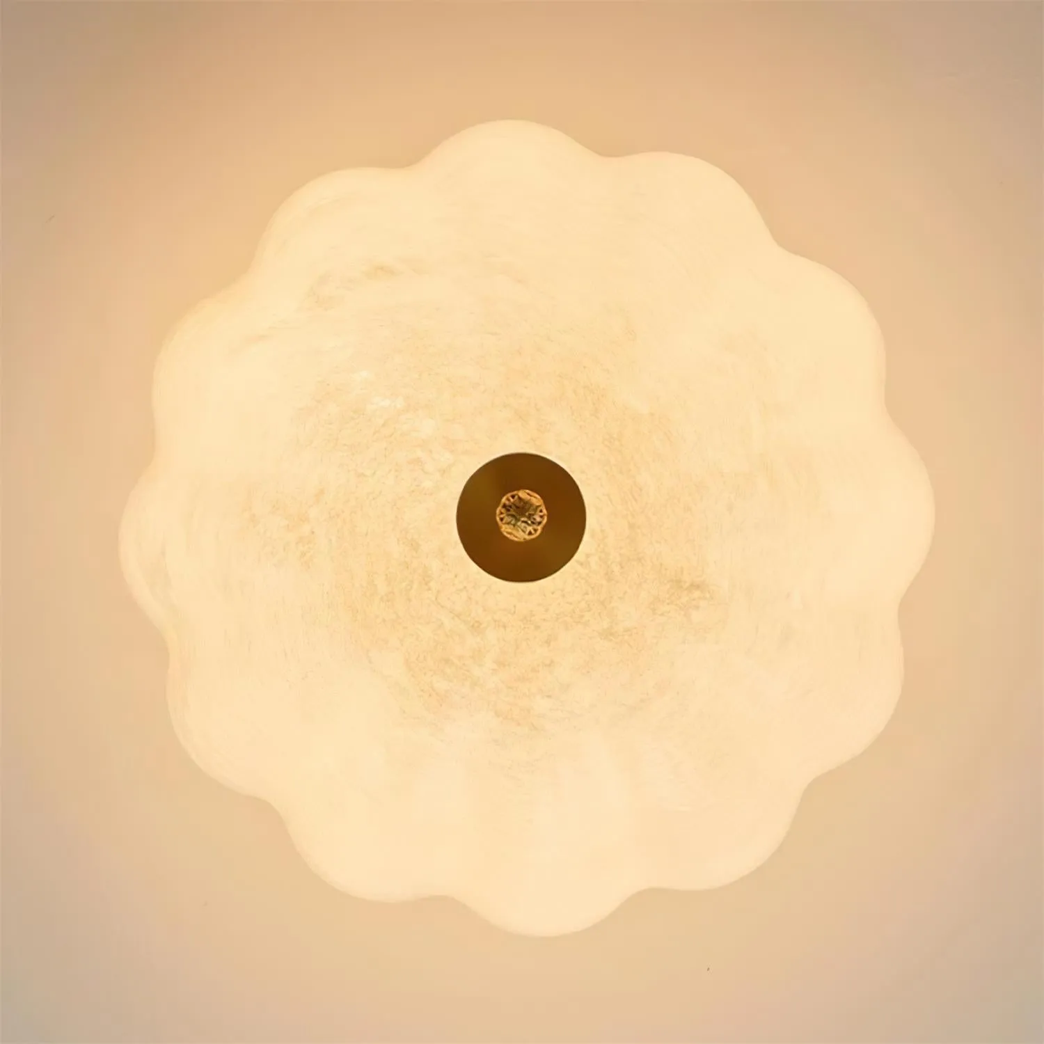 Aerin Ceiling Light D48